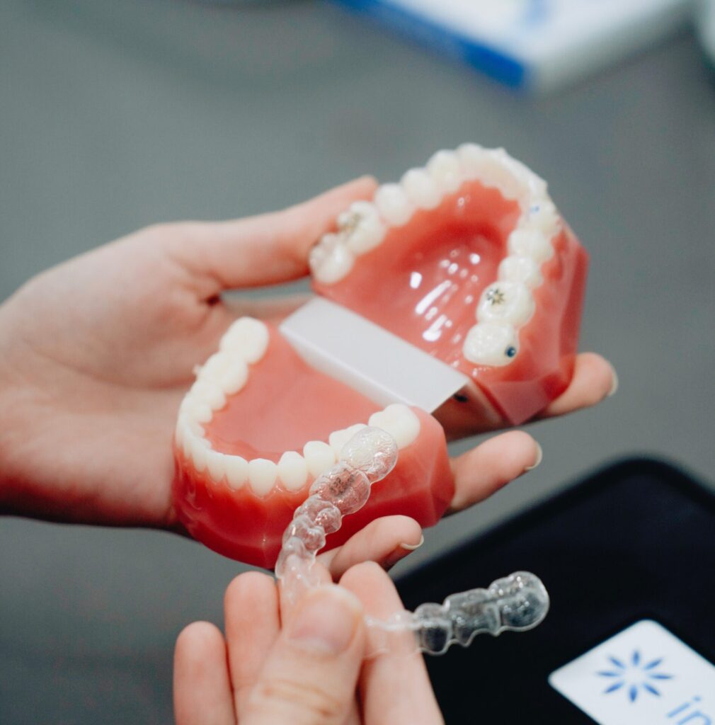a Perth orthodontist demonstrating a clear retainer on a model jaw